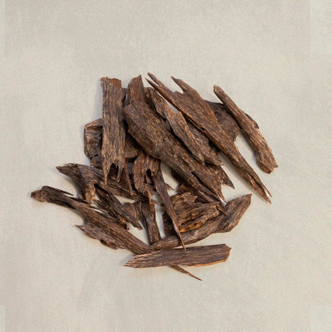 عود غابات ناغلاند 1