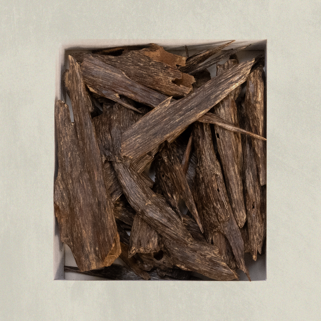 عود غابات ناغلاند 2