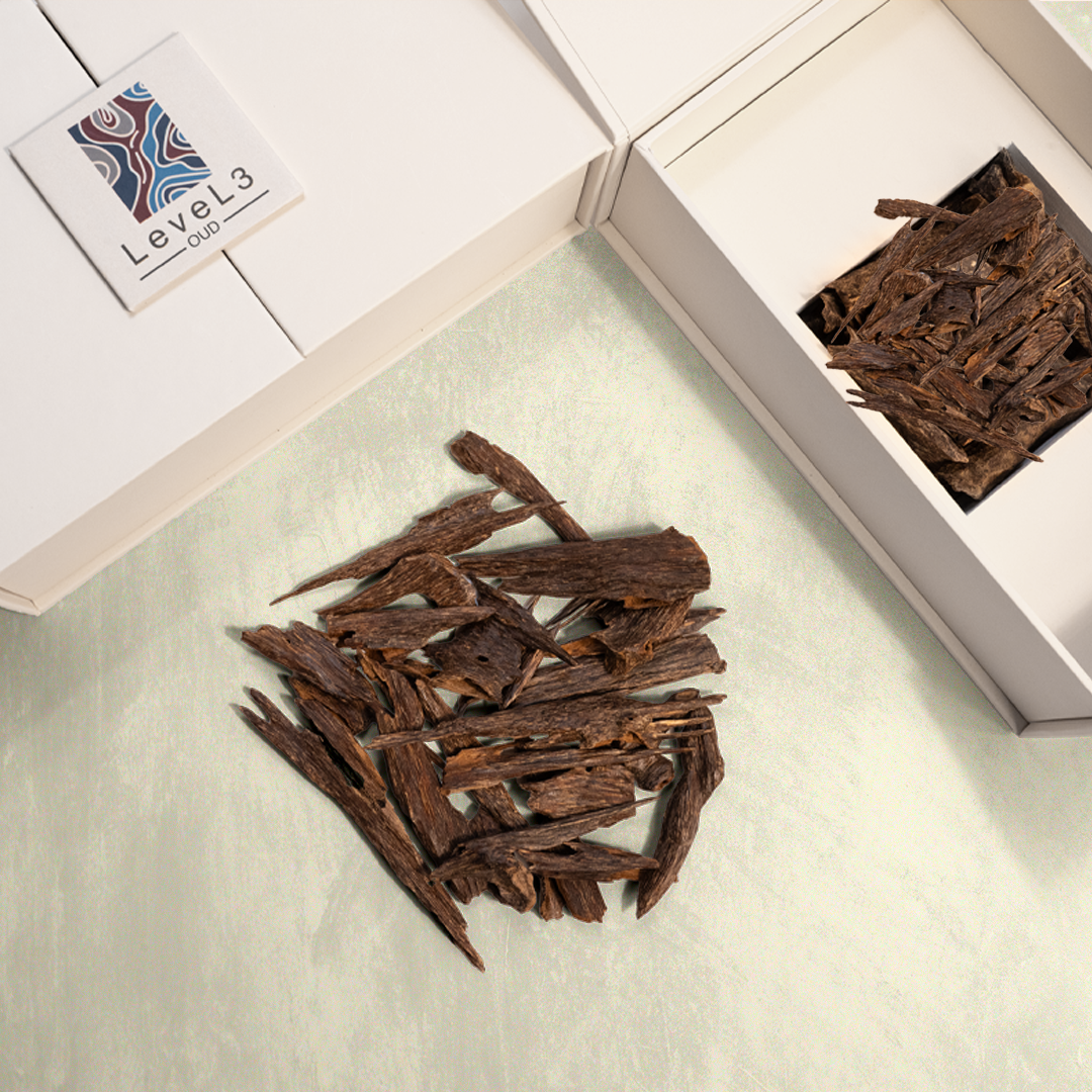 عود غابات ناغلاند 3